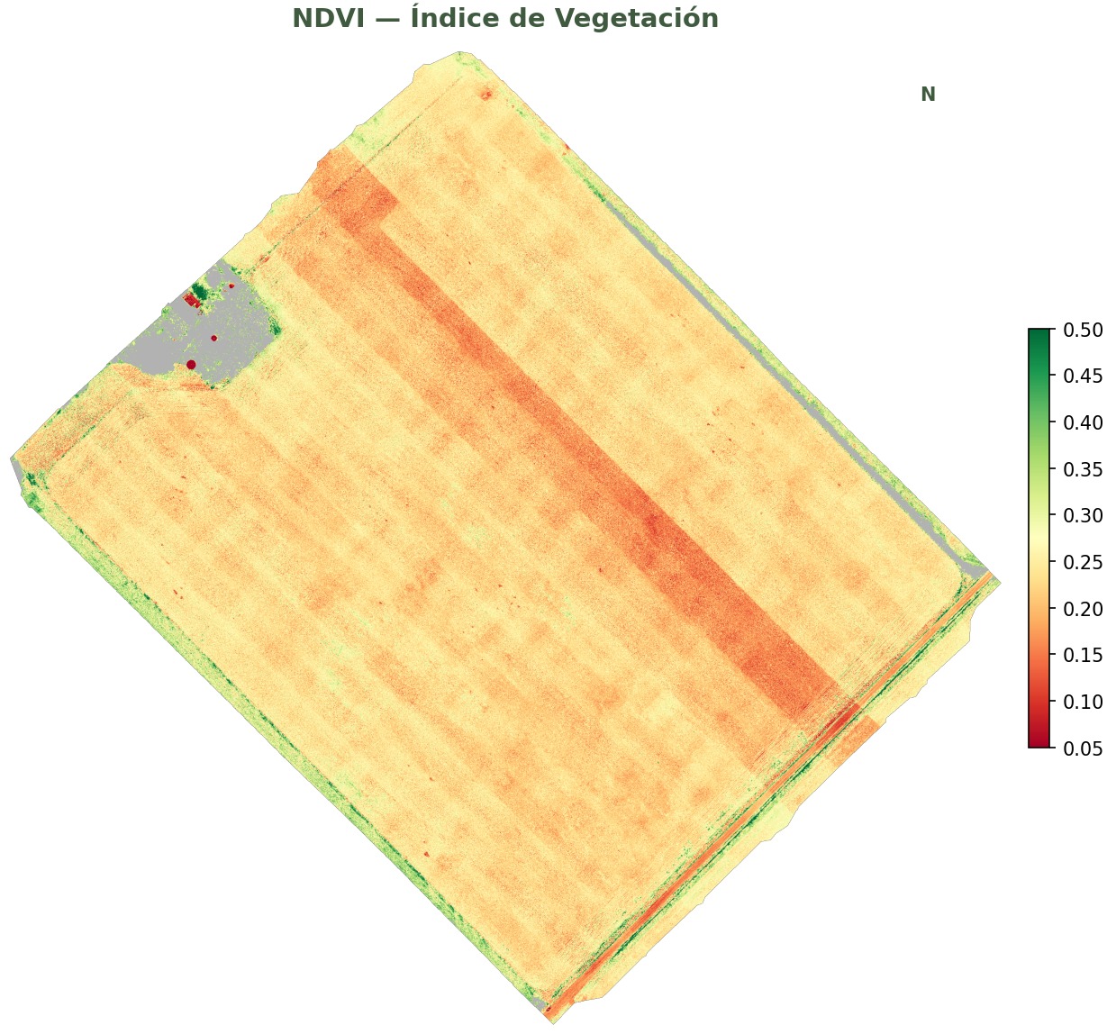 Mapa de vigor NDVI — los tonos verdes intensos marcan vegetación activa sobre suelo desnudo